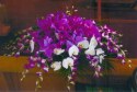 Colors or flowers may vary depending on season.